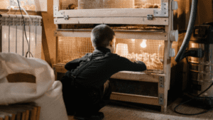 a boy checking chicks in old brooder and their growth